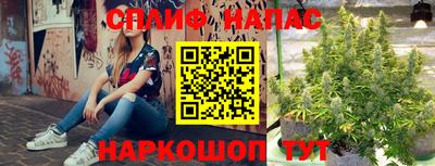 альфа пвп Заволжье